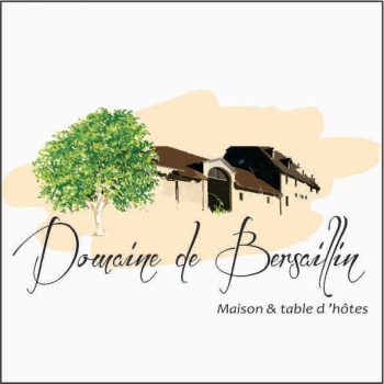 Création de logo pour le Domaine de Bersaillin
